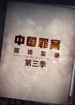 罪案现场实录 第三季(全集)