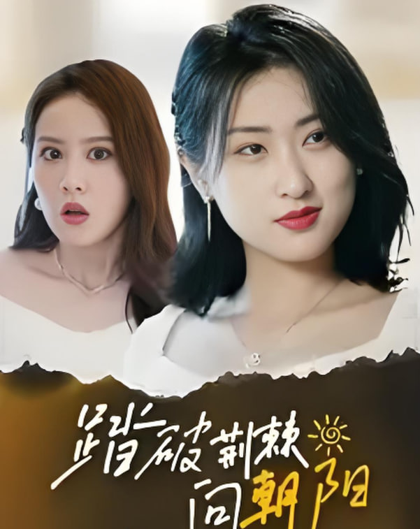 踏破荆棘向朝阳(全集)