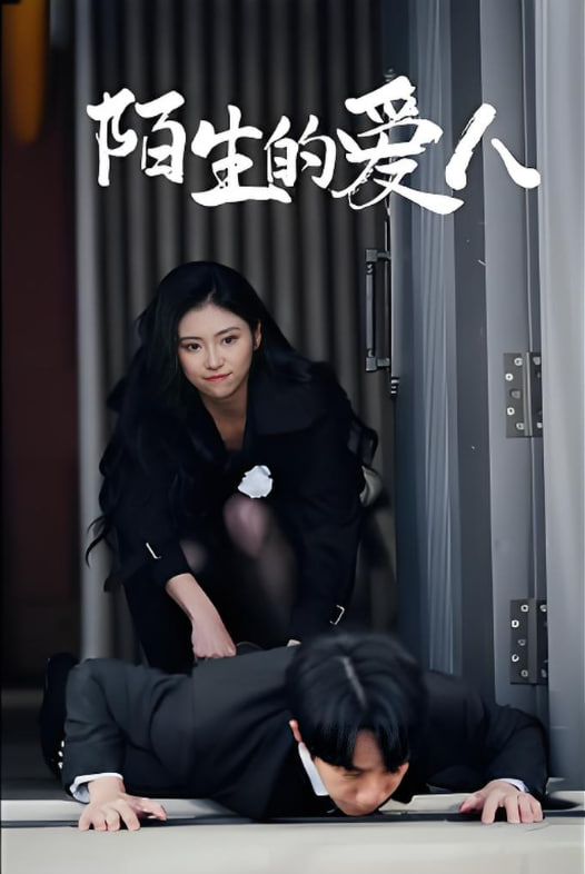 陌生的爱人(全集)