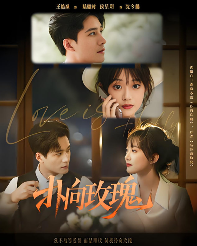 扑向玫瑰(全集)