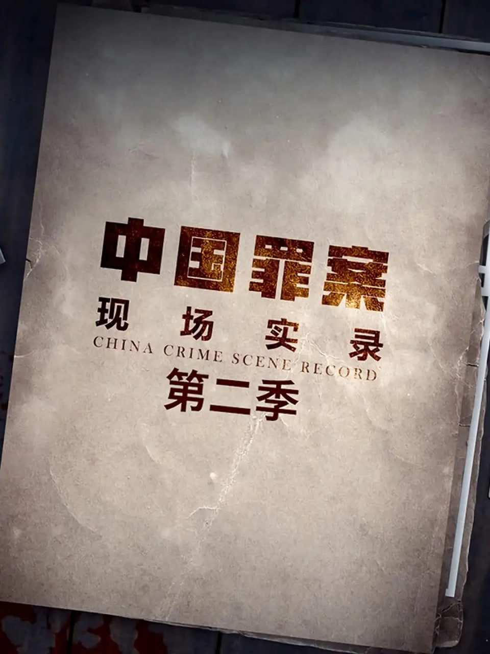 罪案现场实录 第二季(全集)