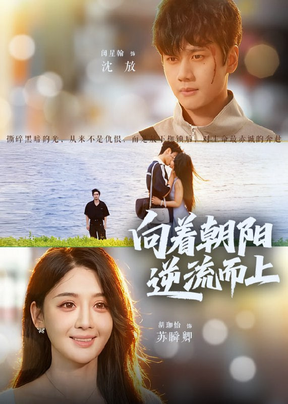 向着朝阳逆流而上(全集)