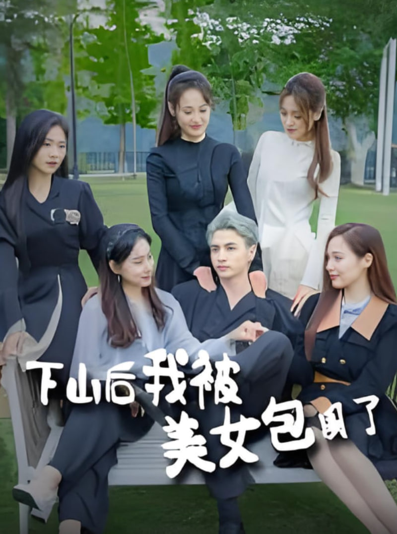 下山后我被美女包围了(全集)