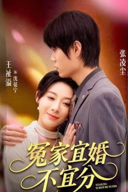 冤家宜婚不宜分(全集)