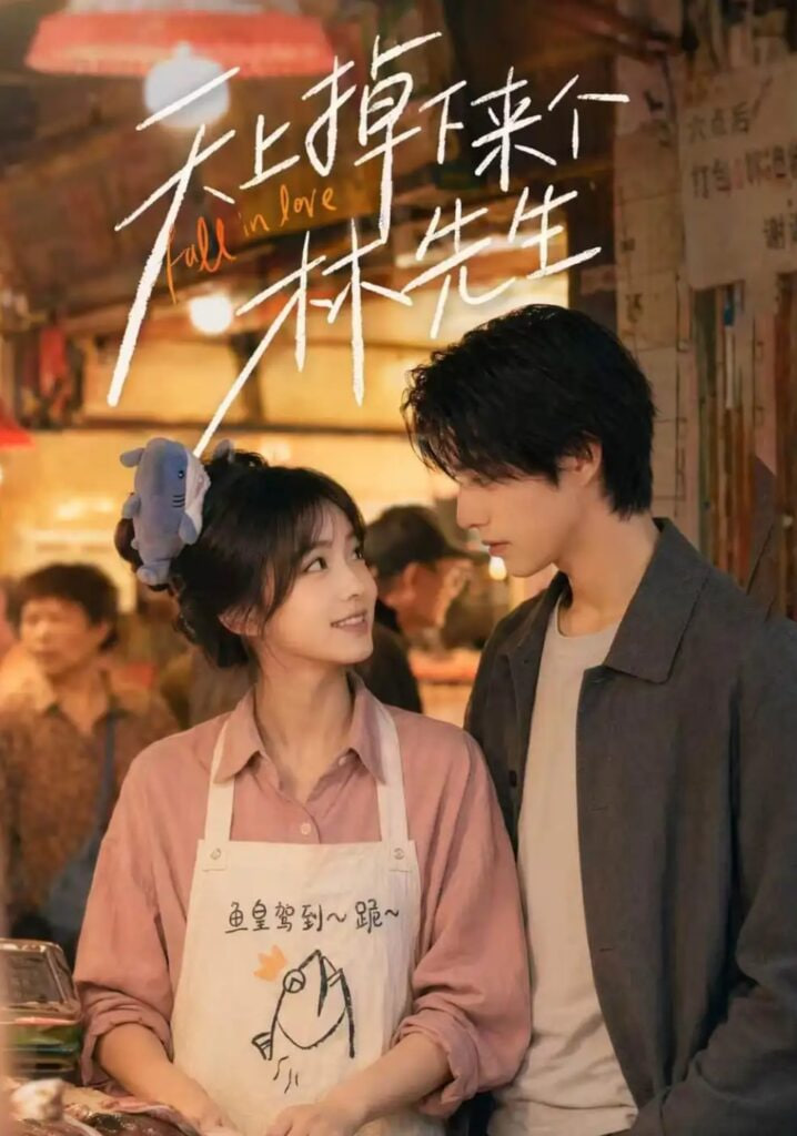 天上掉下来个林先生(全集)